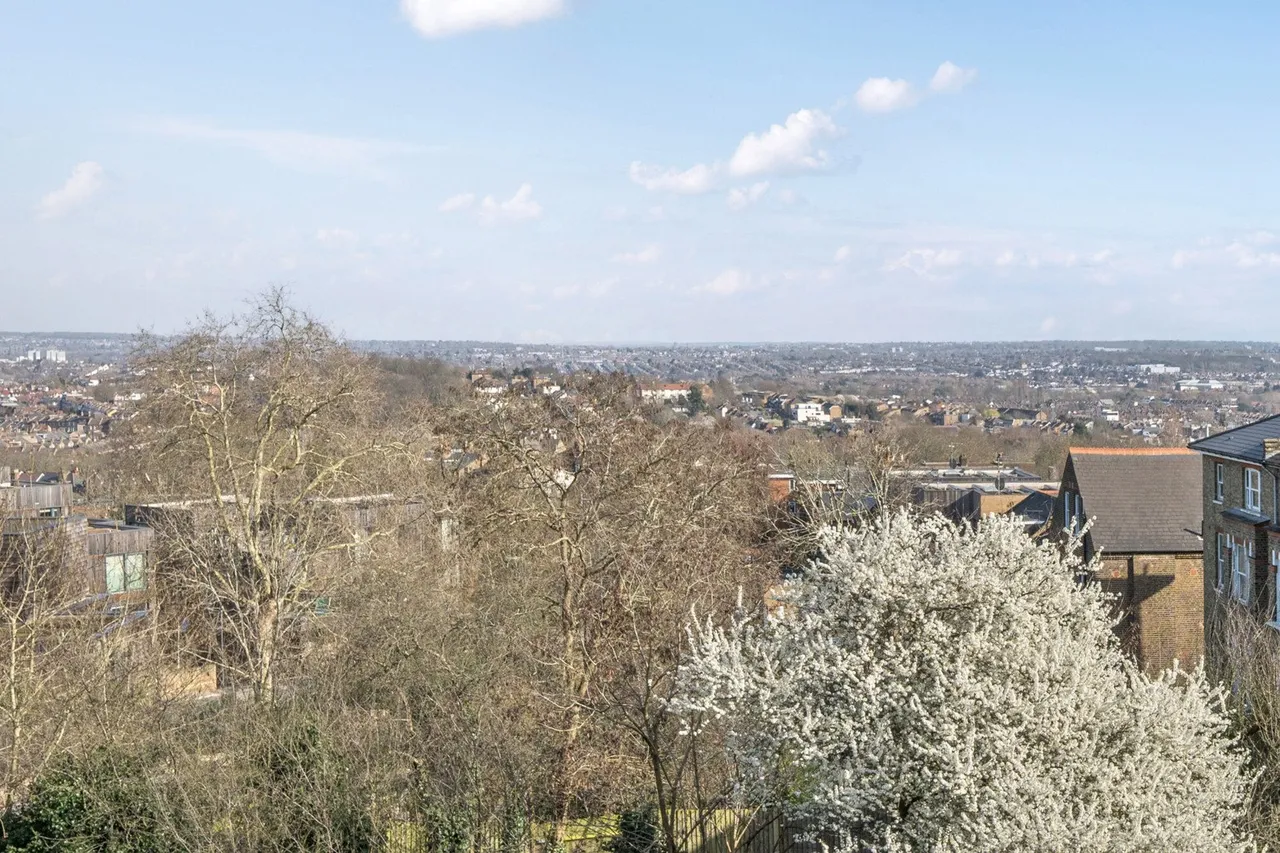 Honor Oak Road, SE23, photo 11