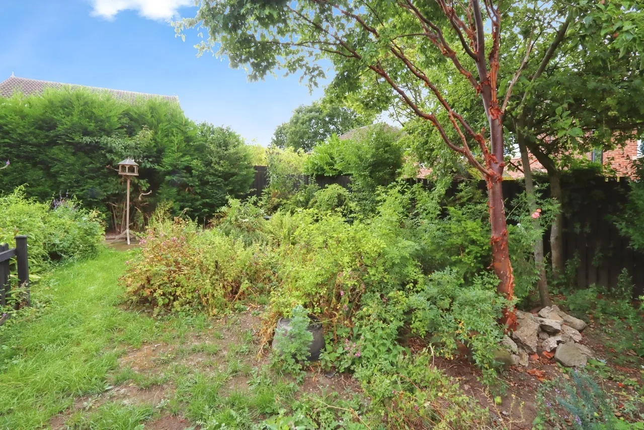 Lyminton Lane, ROTHERHAM, South Yorkshire, S60, photo 17