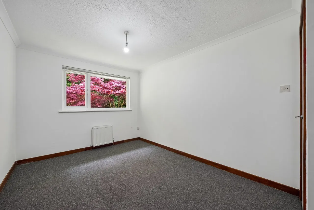 Shore Road, Cove, G84, photo 24
