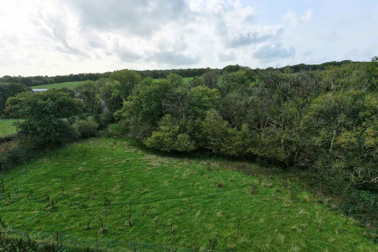 Rhydale, Mynyddcerrig, SA15, photo 30