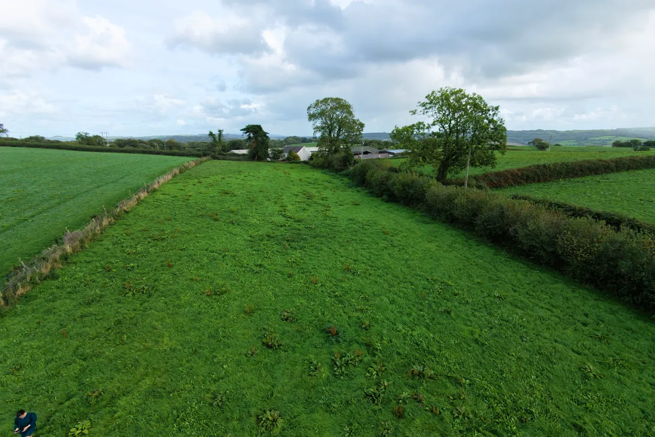 Rhydale, Mynyddcerrig, SA15, photo 29