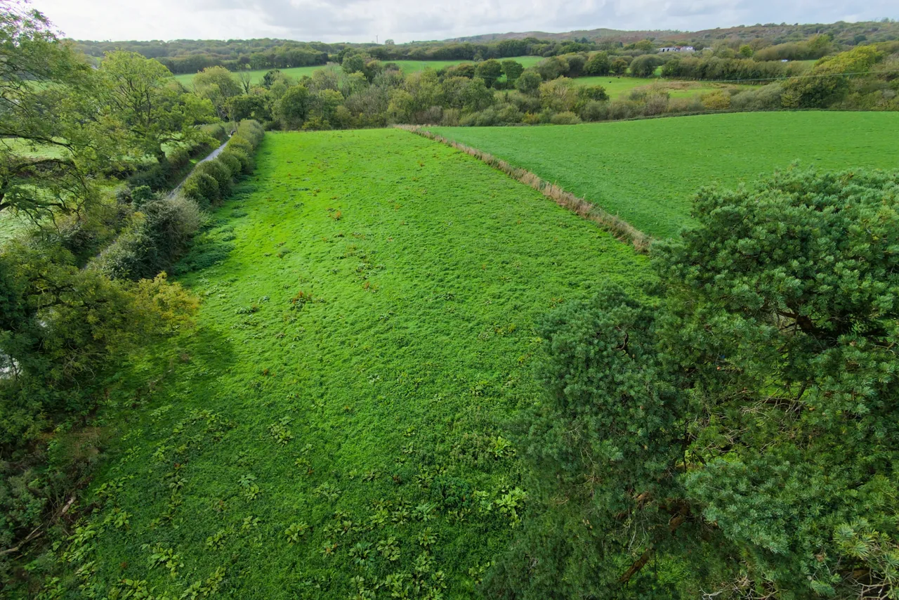 Rhydale, Mynyddcerrig, SA15, photo 27