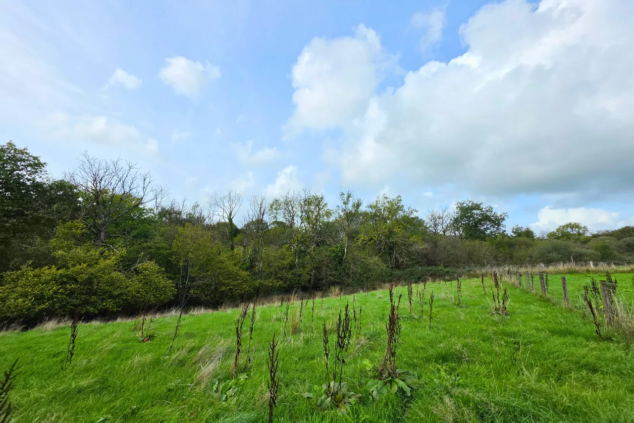 Rhydale, Mynyddcerrig, SA15, photo 35