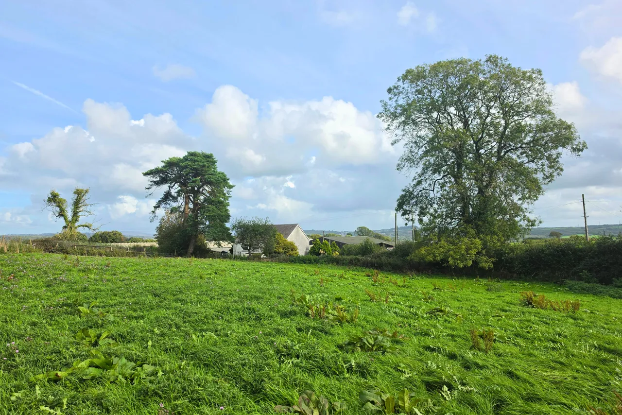 Rhydale, Mynyddcerrig, SA15, photo 34