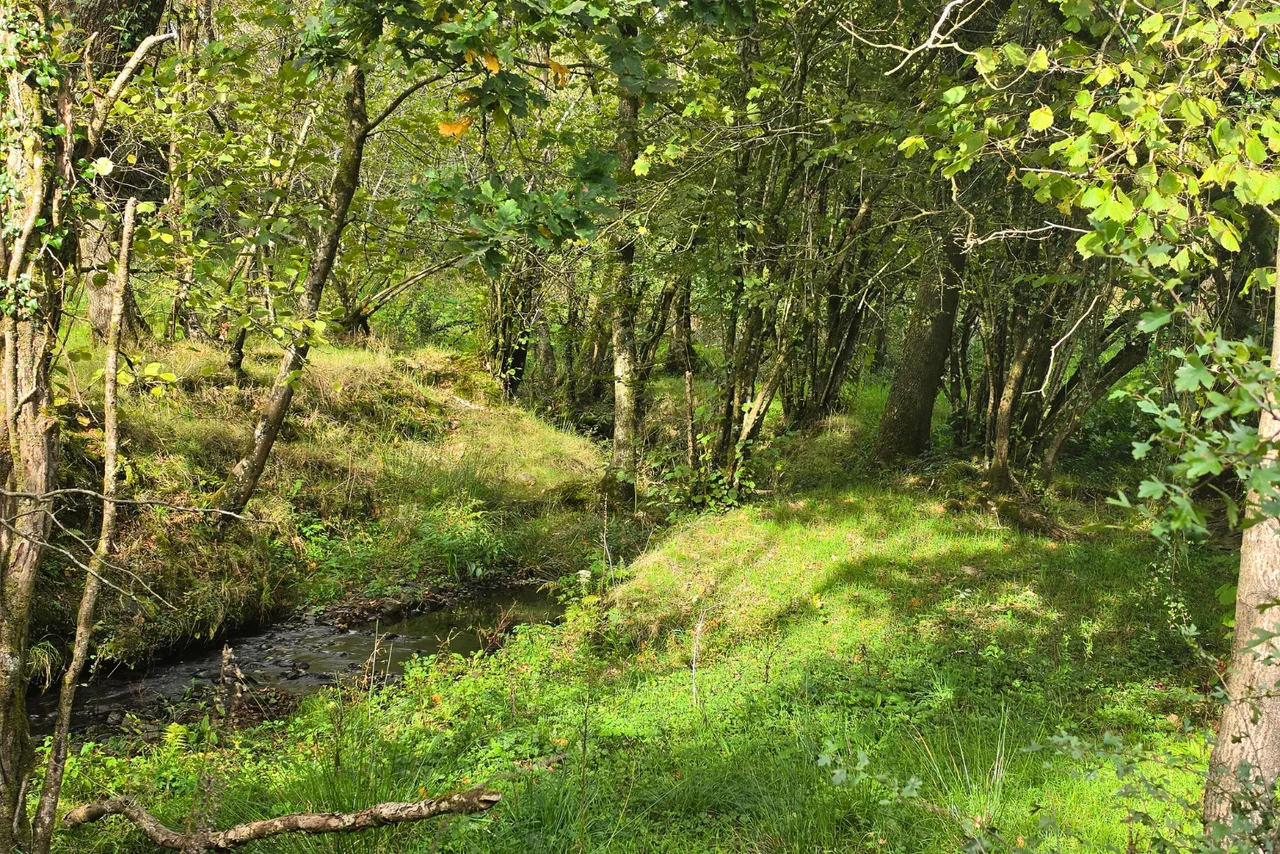 Rhydale, Mynyddcerrig, SA15, photo 36