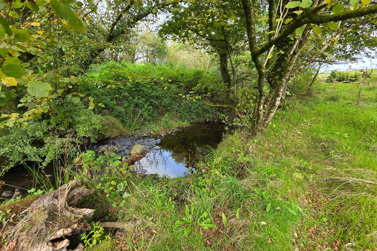 Rhydale, Mynyddcerrig, SA15, photo 4