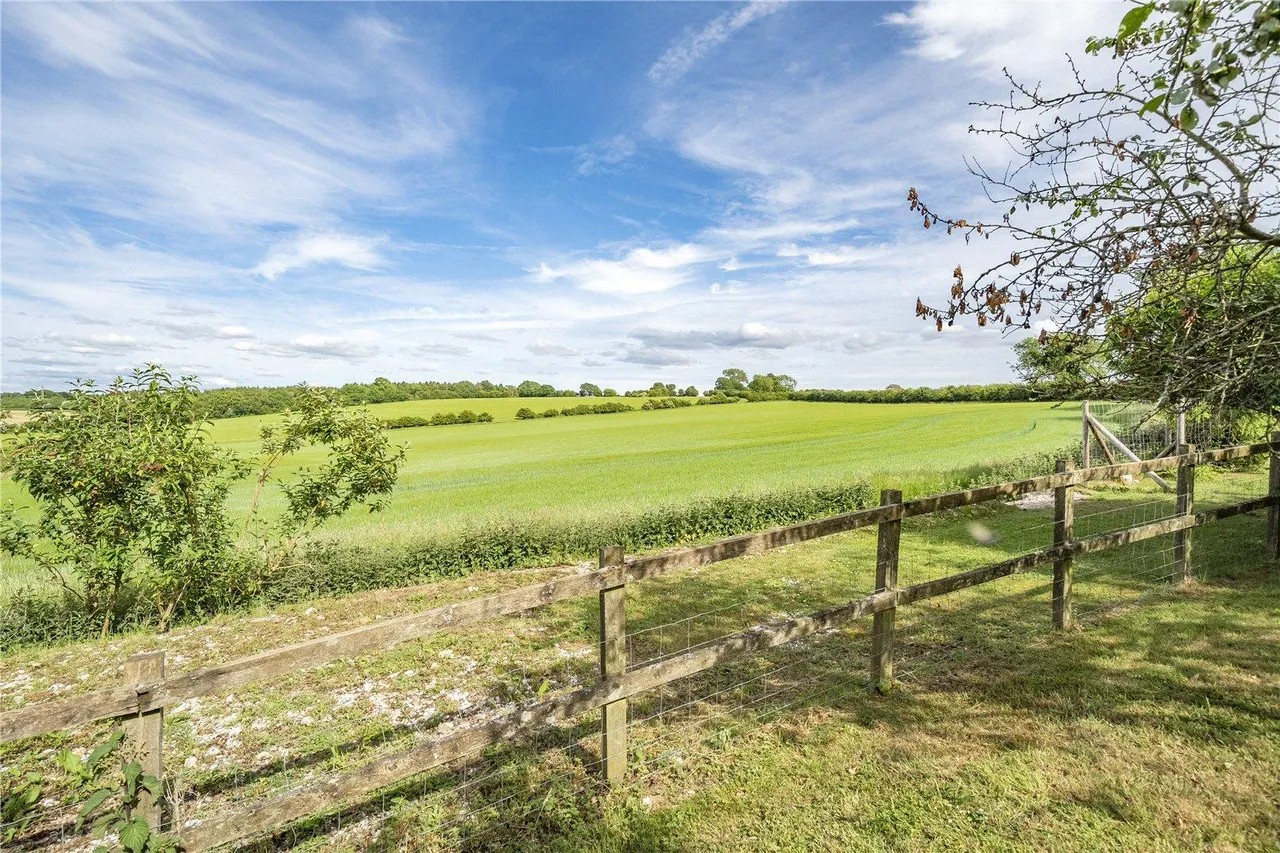 Farleigh Lane, Dummer, RG25, photo 20