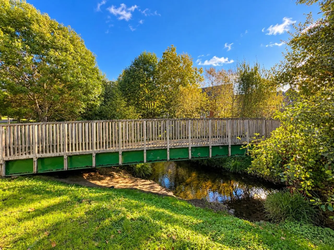 Ricardo Drive, Dursley, GL11, photo 24