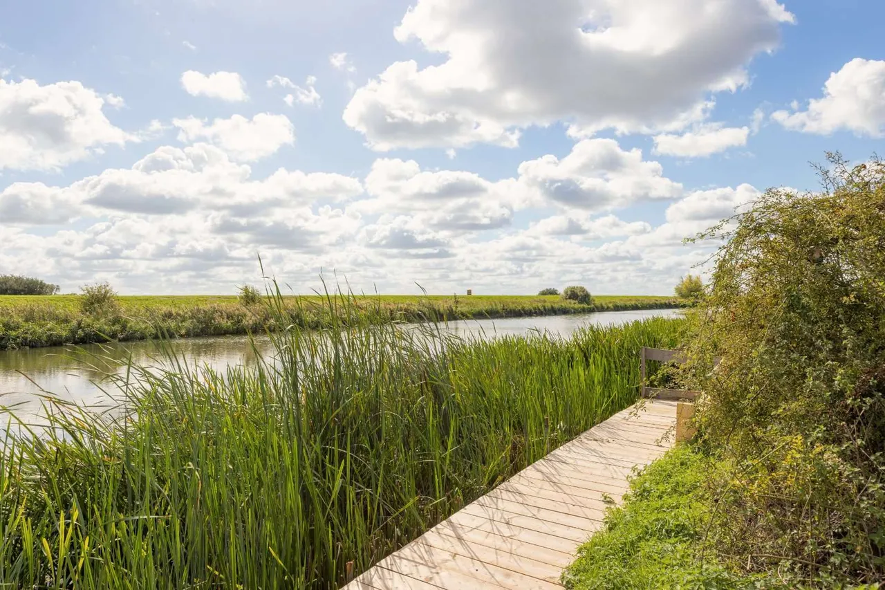 Ten Mile Bank, Littleport, CB6, photo 30