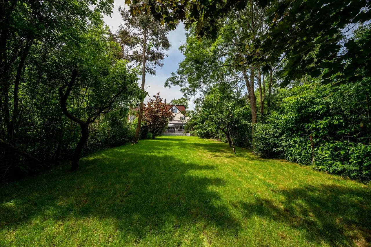 Ash Grove, Guildford, GU2, photo 26
