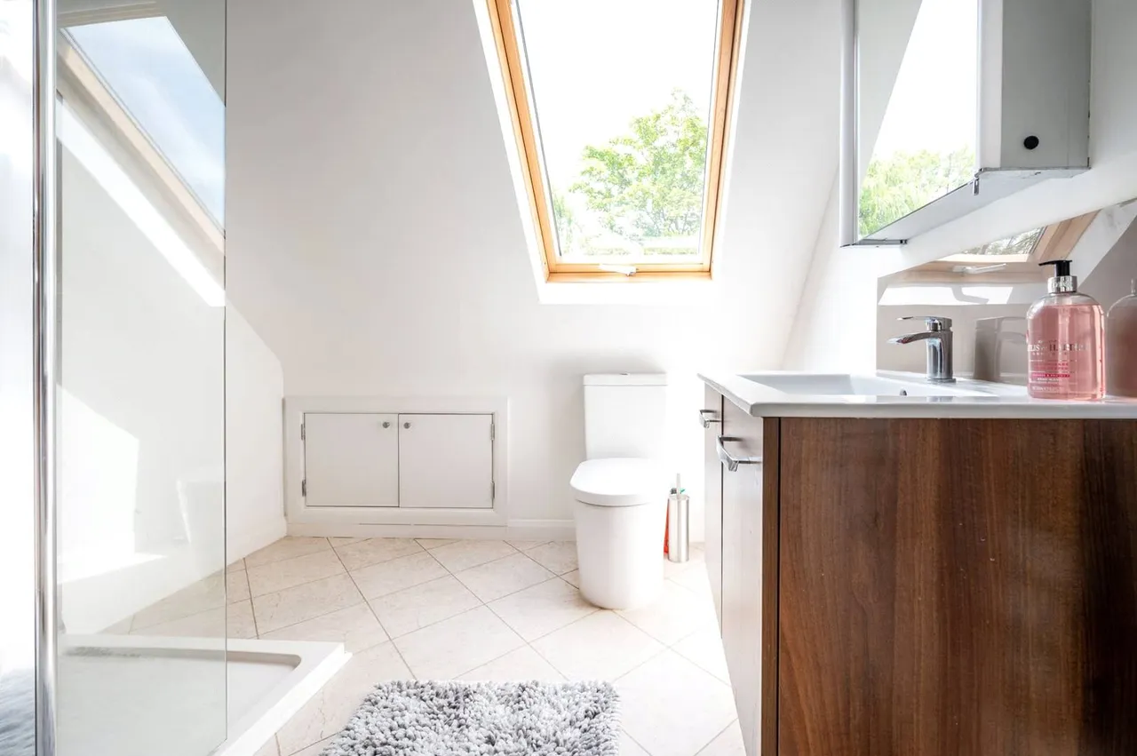 Ash Grove, Guildford, GU2, photo 19