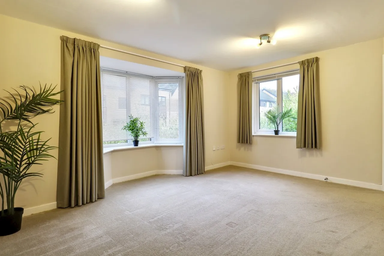 Isinglass Drive, Edlington, DN12, photo 3