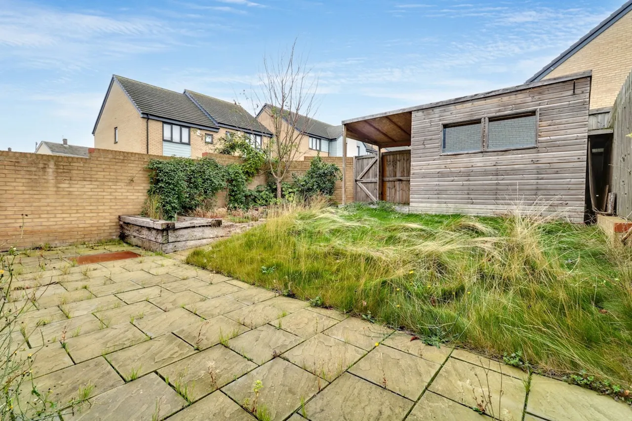 Isinglass Drive, Edlington, DN12, photo 17