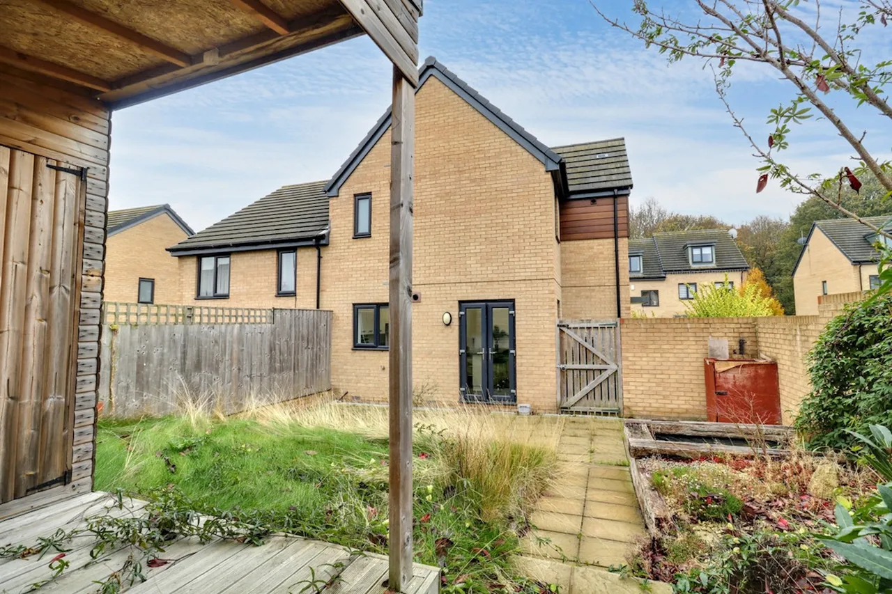 Isinglass Drive, Edlington, DN12, photo 18