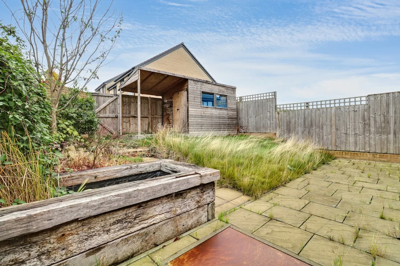 Isinglass Drive, Edlington, DN12, photo 19