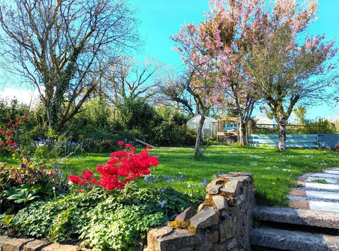 Llanddewi Velfrey, Narberth, SA67, photo 14