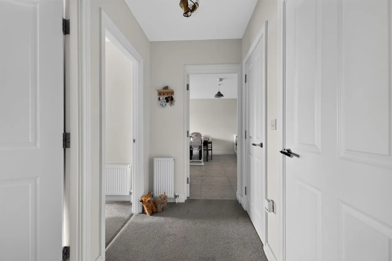 Little Enler Green, comber, BT23, photo 5