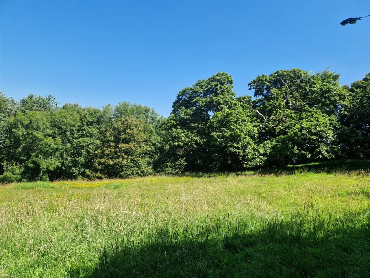 Bissoe, Truro, photo 19