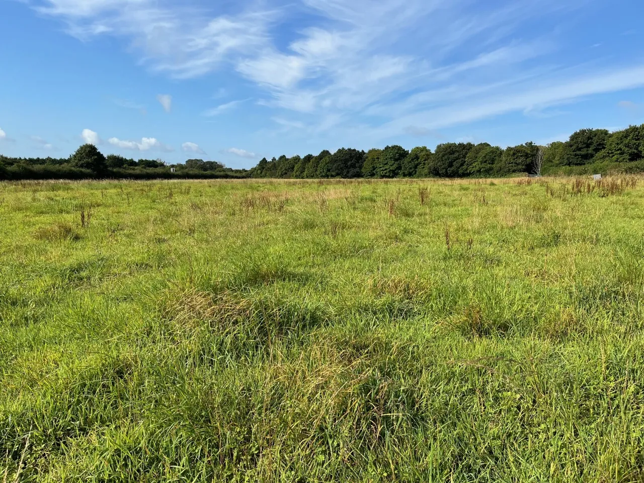 Bayford, Wincanton, Somerset, BA9 9NN, photo 4