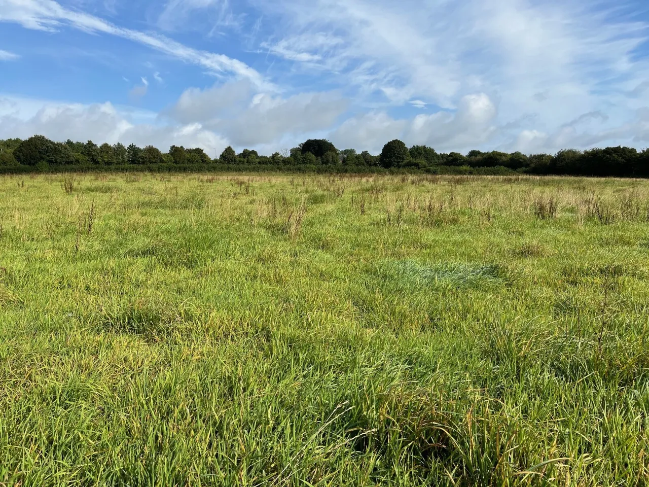 Bayford, Wincanton, Somerset, BA9 9NN, photo 3