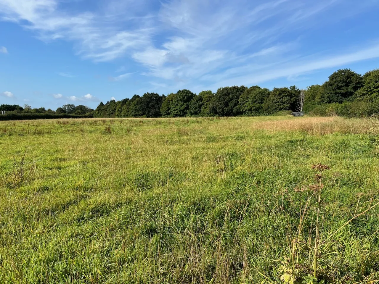 Bayford, Wincanton, Somerset, BA9 9NN, photo 5