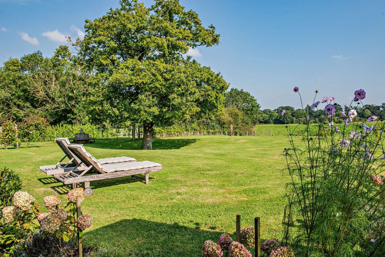 Ripley Road, East Clandon, GU4, photo 10