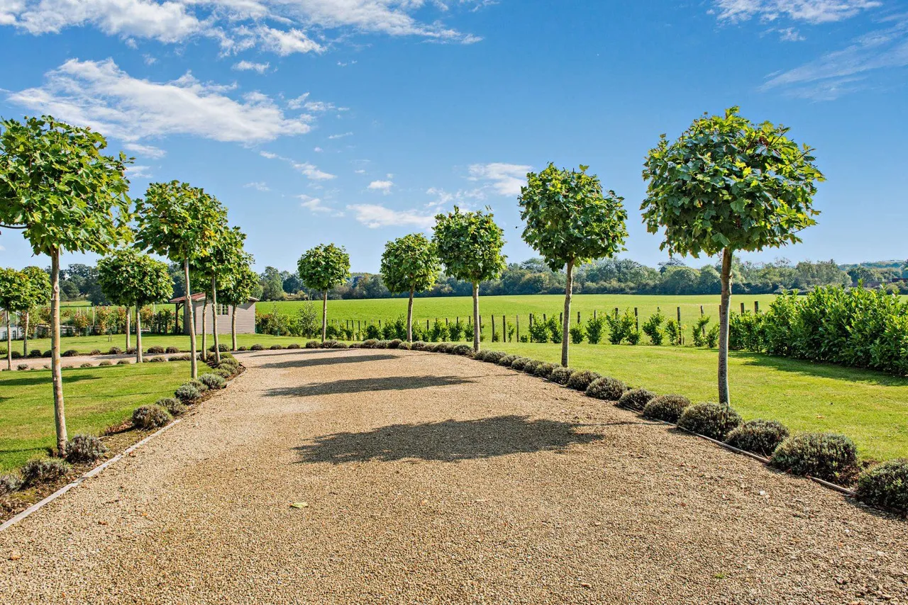 Ripley Road, East Clandon, GU4, photo 5