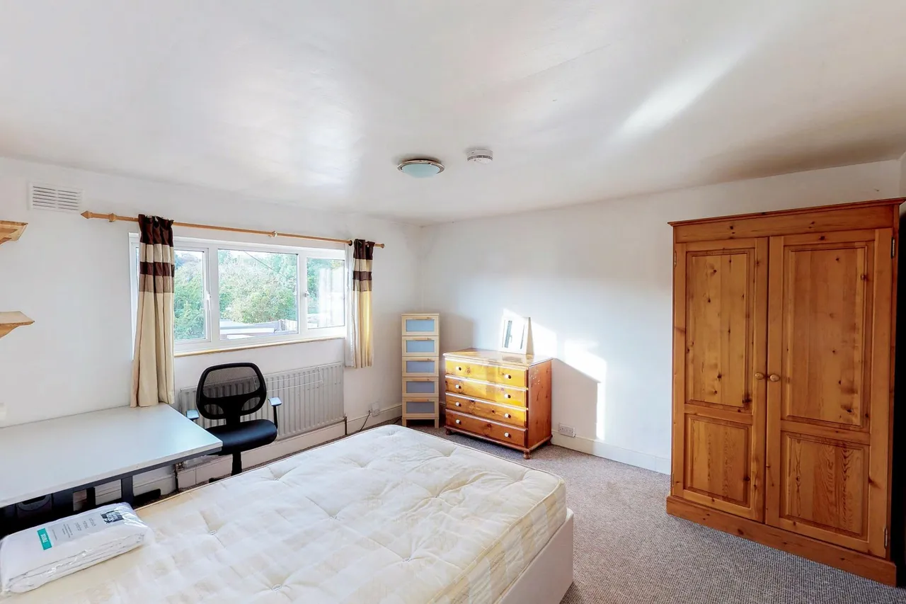 Briars Wood, Hatfield, AL10, photo 18