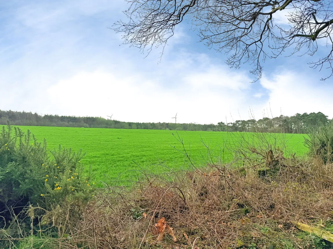 Kirkbampton, Carlisle, CA5 6NQ, photo 22
