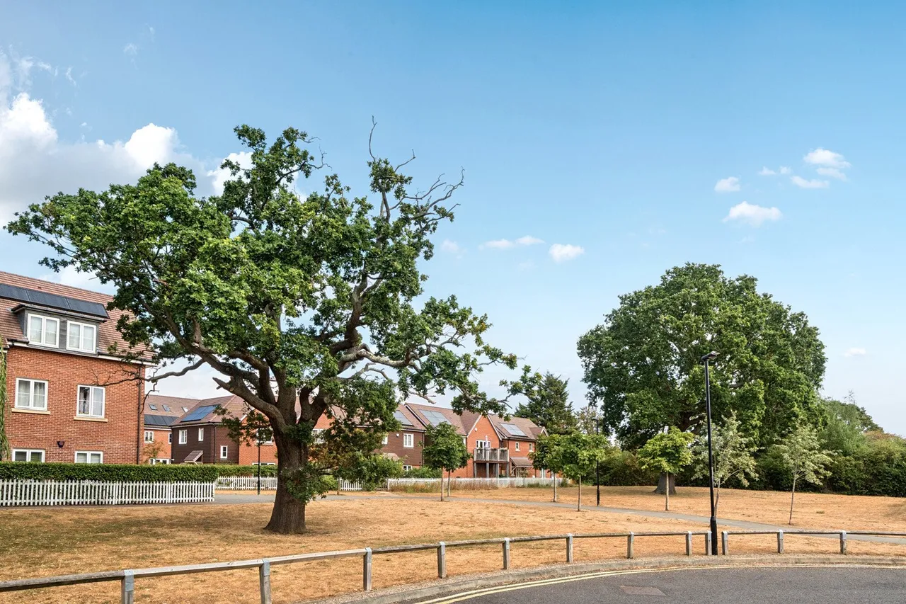 Oaktree Gardens, SE9, photo 27