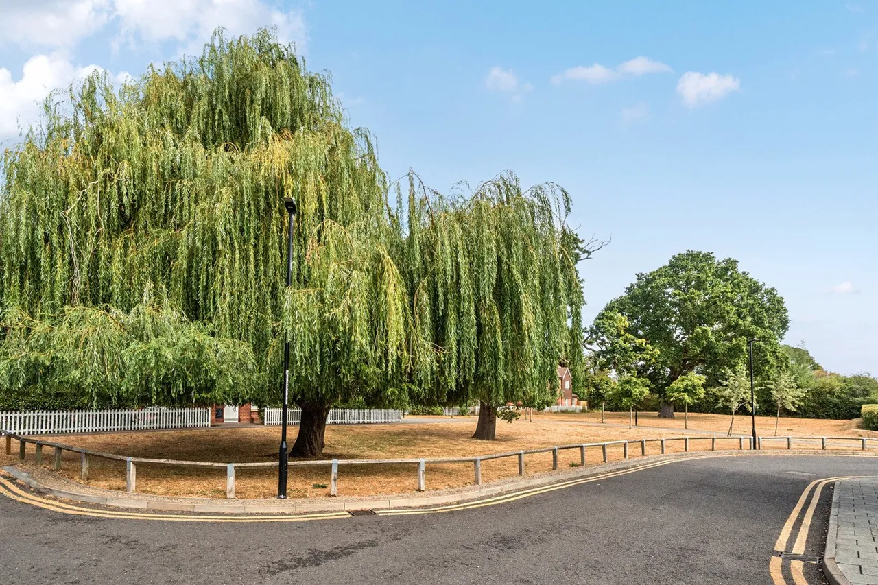 Oaktree Gardens, SE9, photo 26
