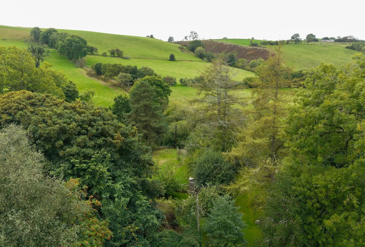 Lledrod, Aberystwyth, SY23, photo 87