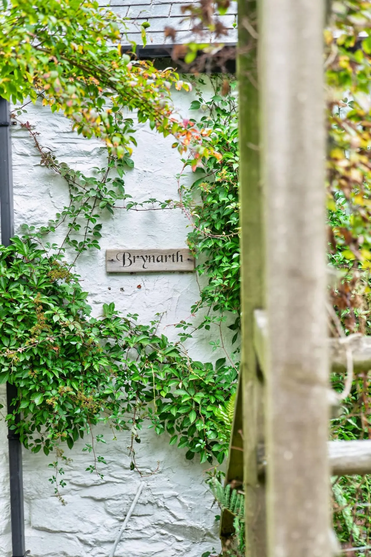 Lledrod, Aberystwyth, SY23, photo 69