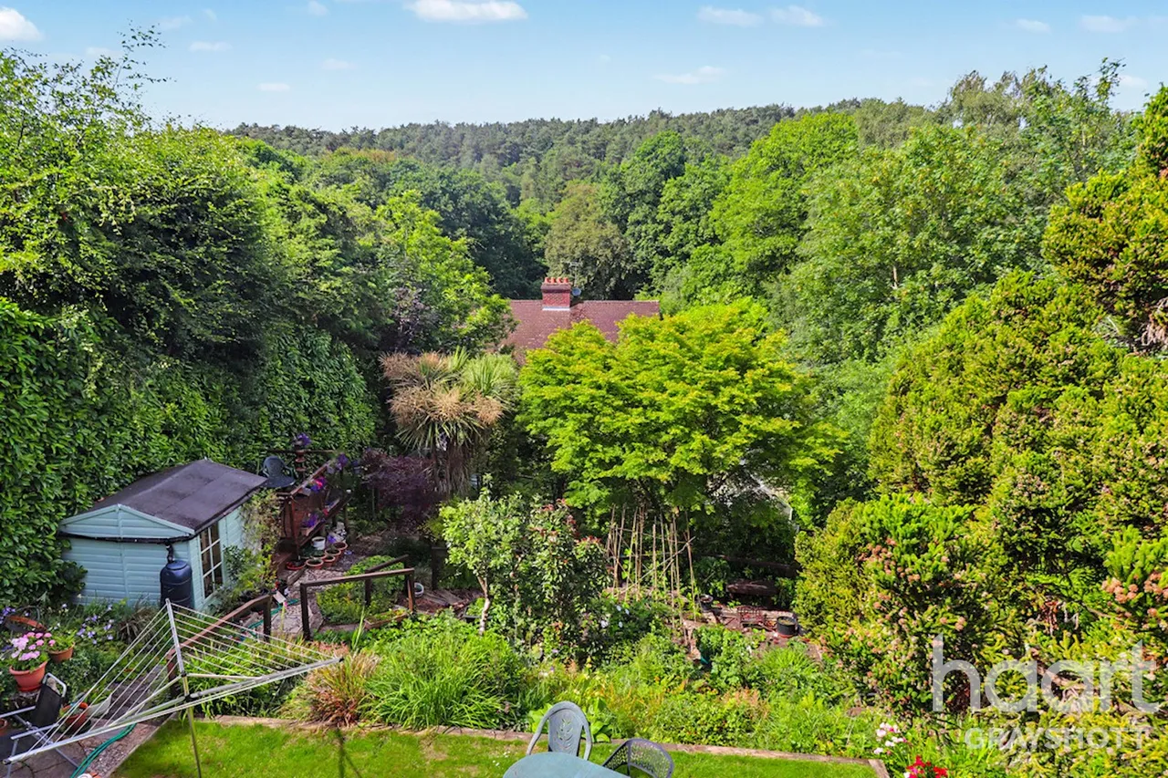 Glen Road, Grayshott, GU26, photo 4