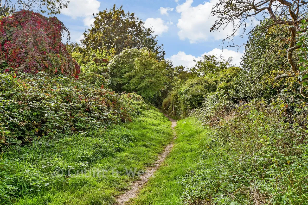 Mackie Avenue, Brighton, BN1, photo 13