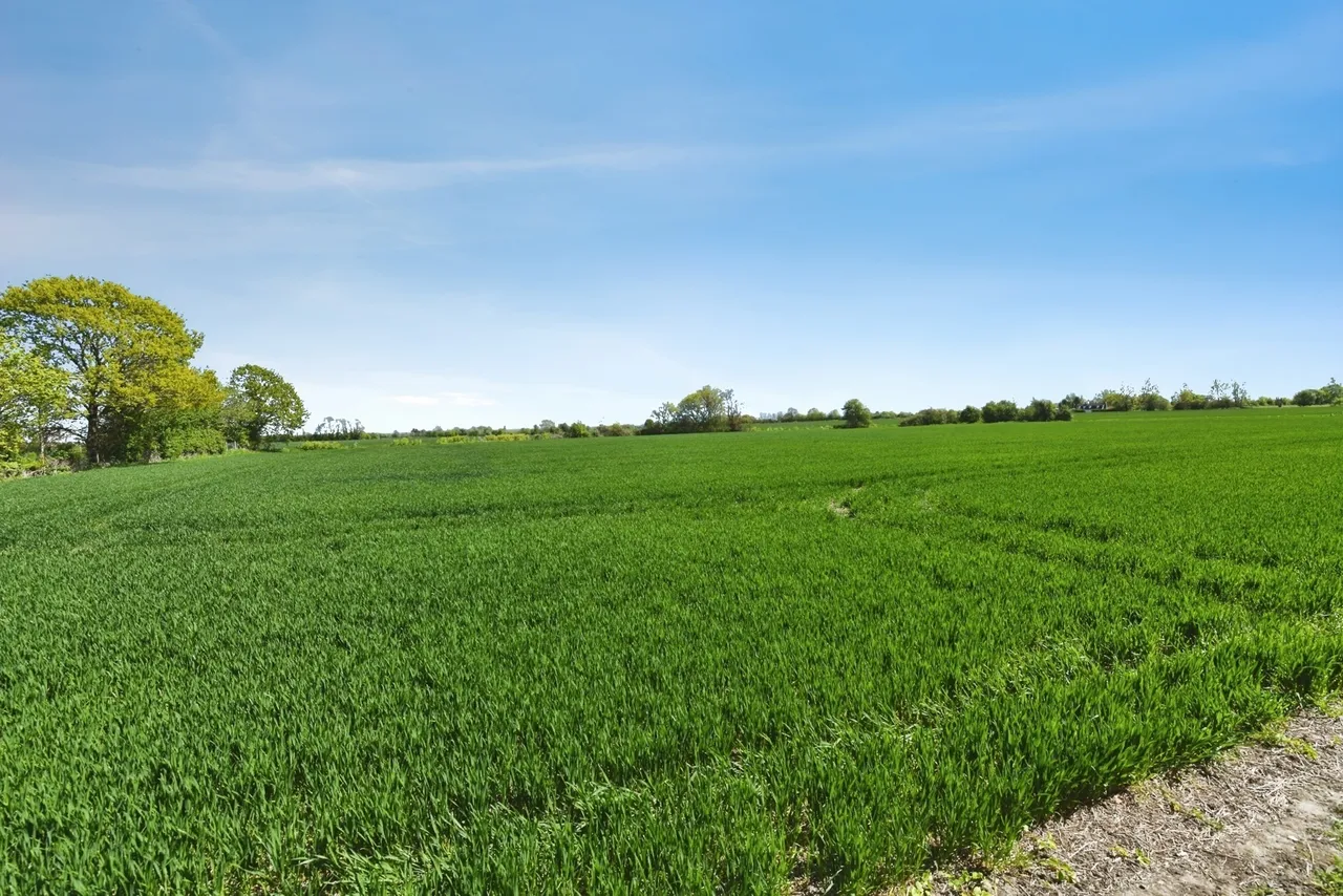 South Street, Tillingham, Southminster, Essex, CM0, photo 26