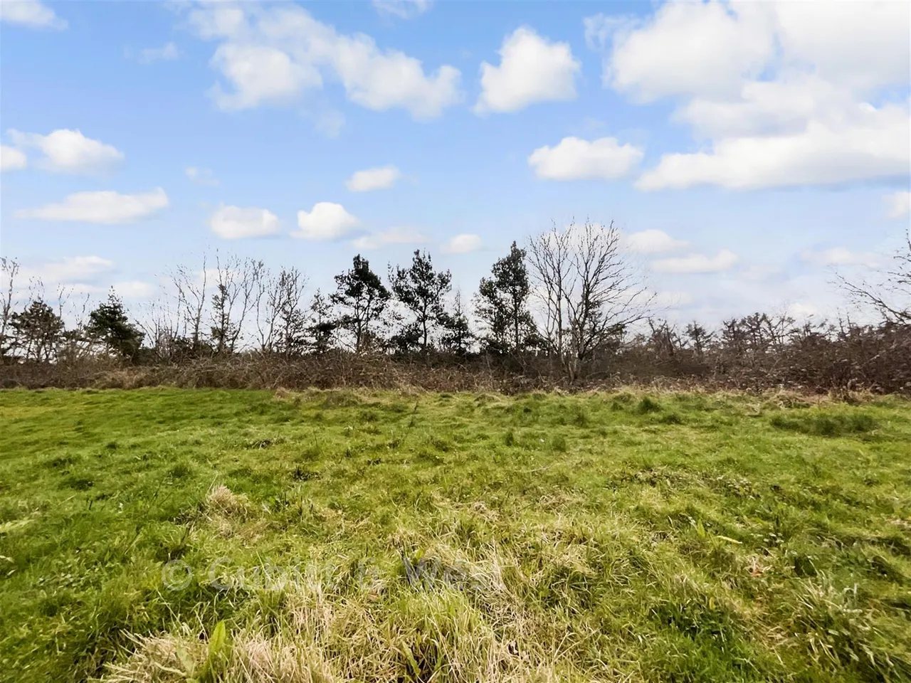 Clay Vale, Faygate, RH12, photo 10