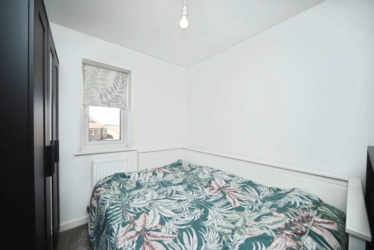 Wigeon Road, Bridgwater, TA6, photo 13
