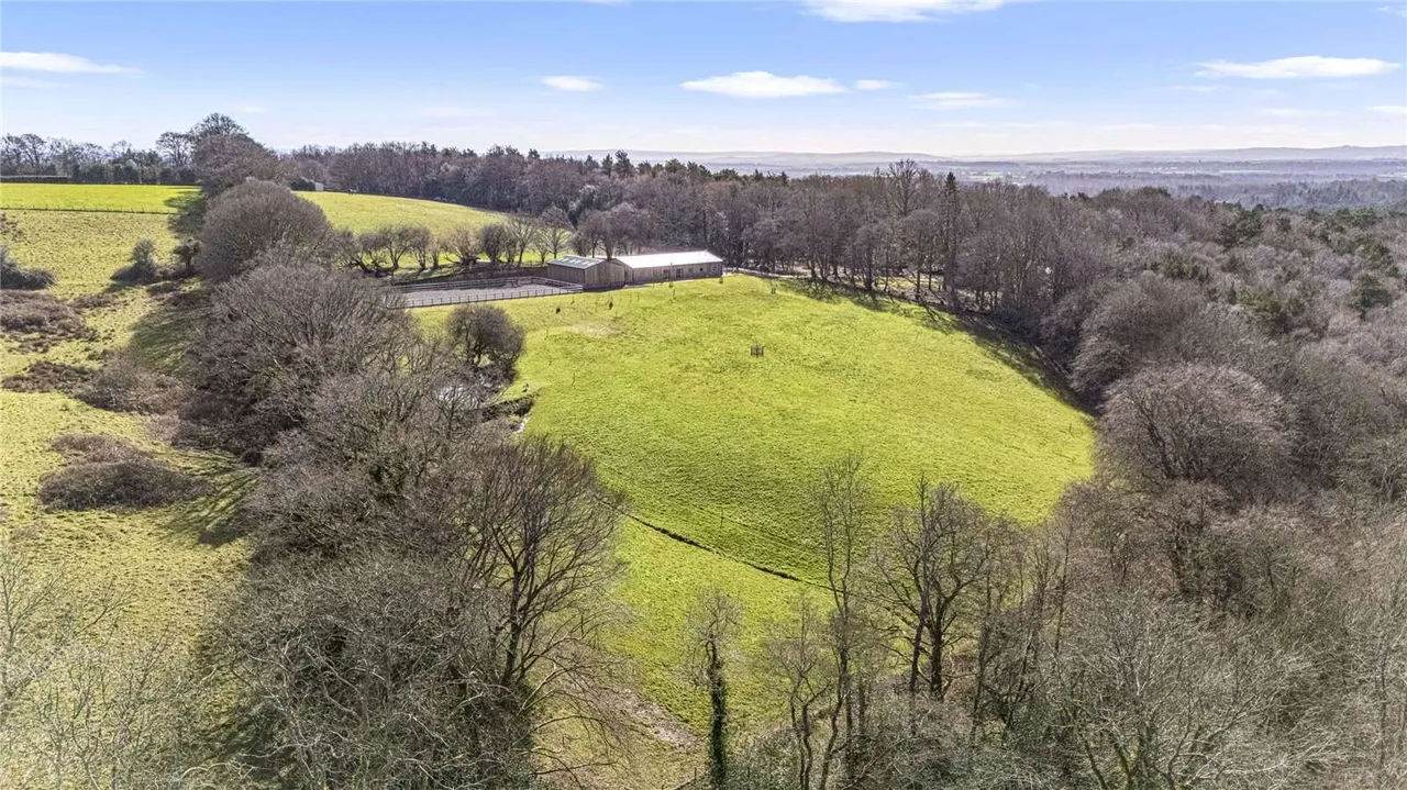 Nether Lane, Nutley, Uckfield, East Sussex, TN22 3LB, photo 8