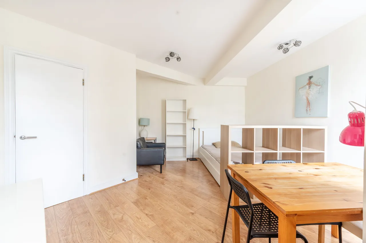 318 Chelsea Cloisters, Sloane Avenue, London, photo 4