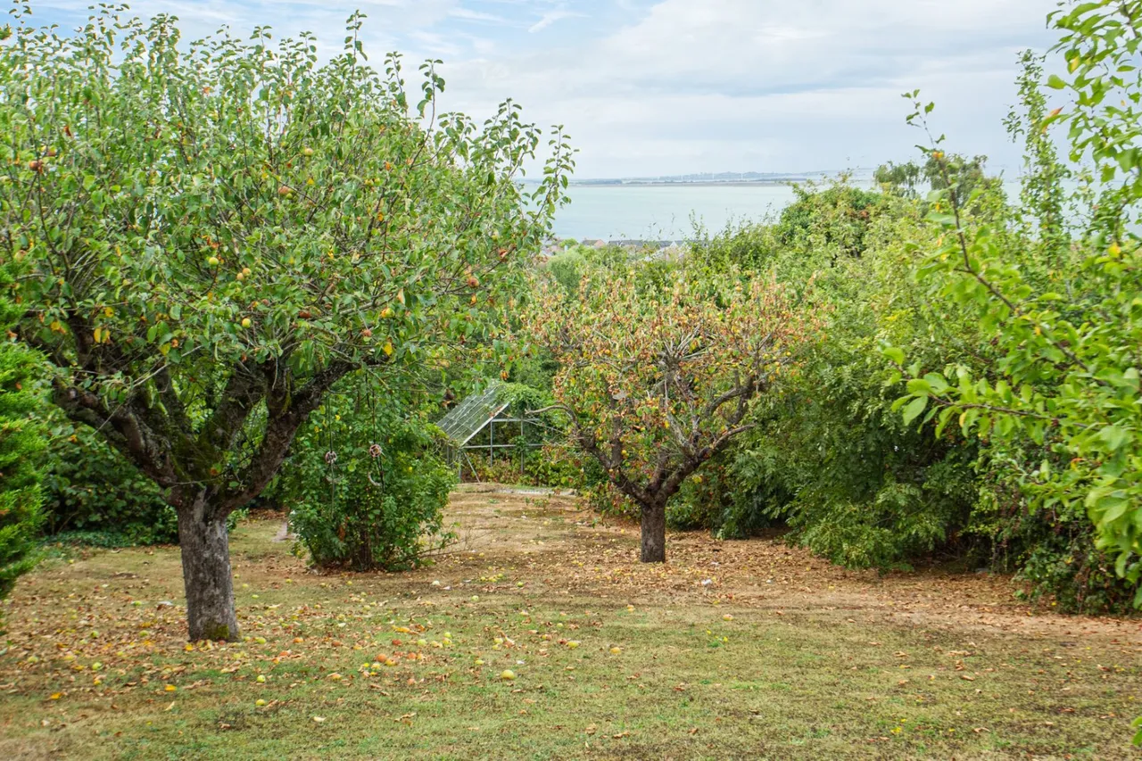 Grimthorpe Avenue, Whitstable, CT5, photo 23