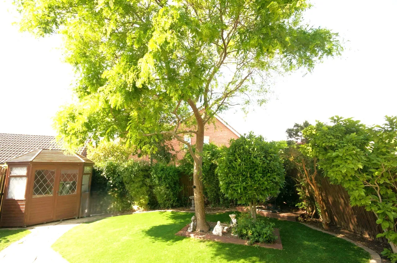 Vancouver Road, Eastbourne, BN23, photo 23