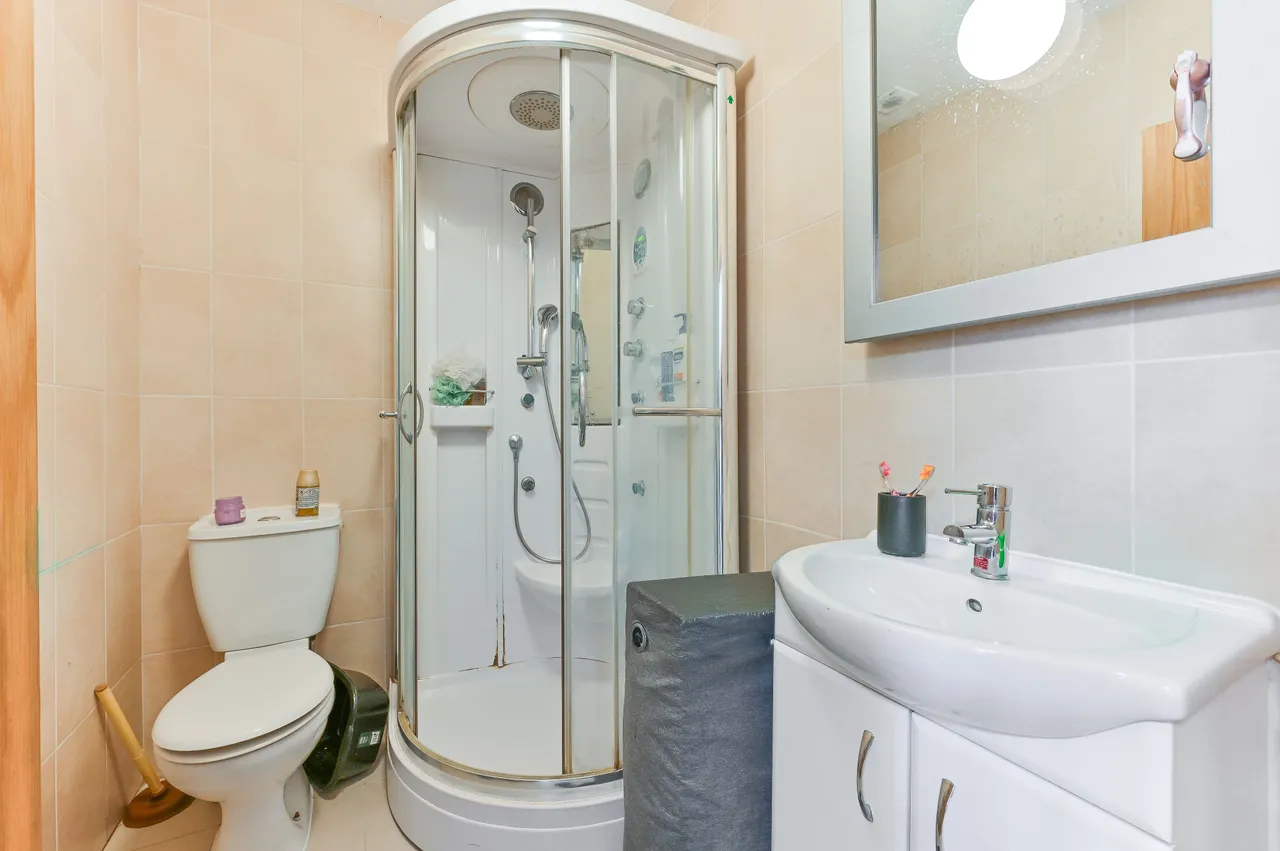 156 Green Lane, London, photo 10