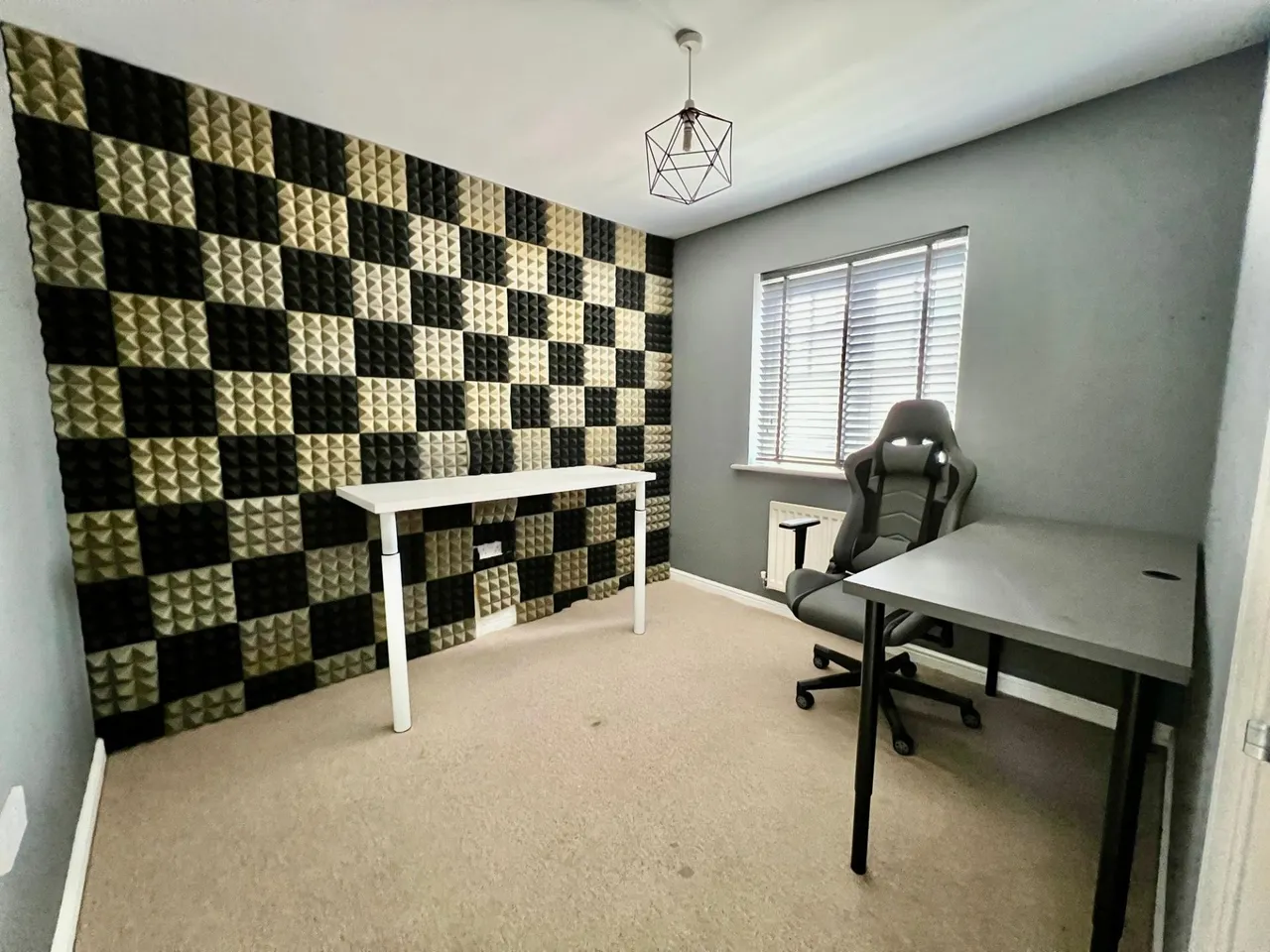 Dexter Avenue, Grantham, NG31, photo 14