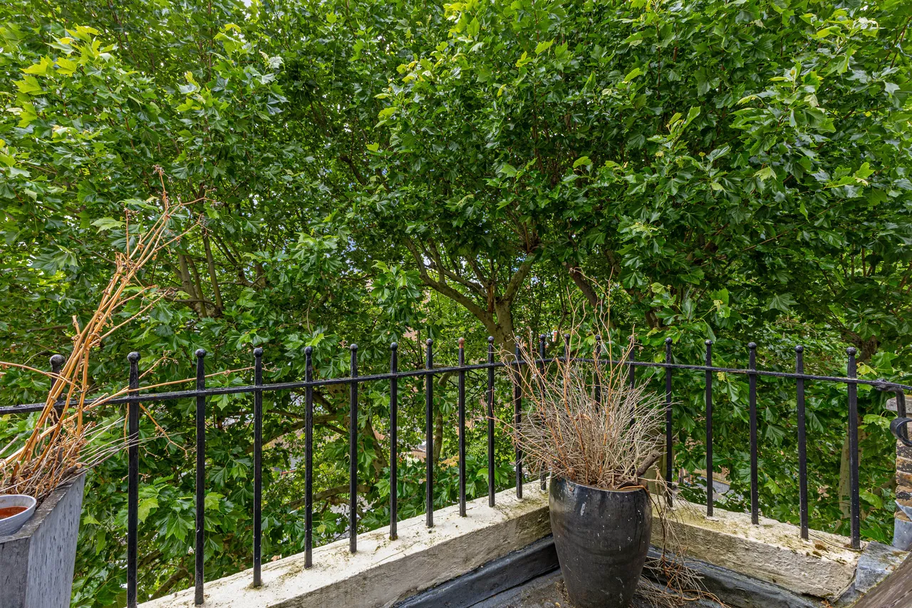 Cliveden Place, London, SW1W, photo 7