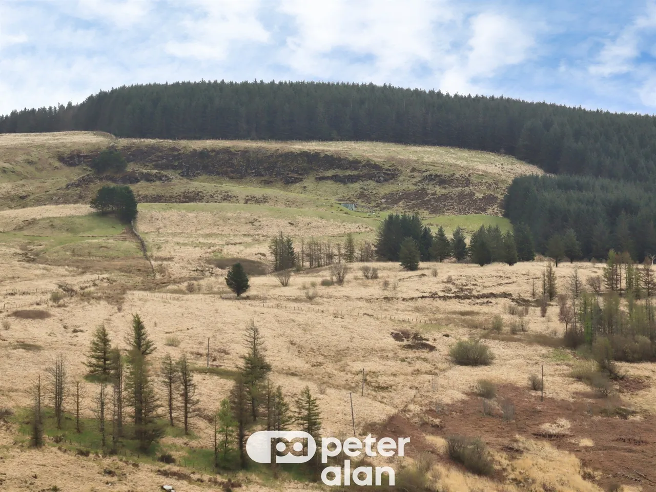 Woodland Road, Port Talbot, SA13, photo 14