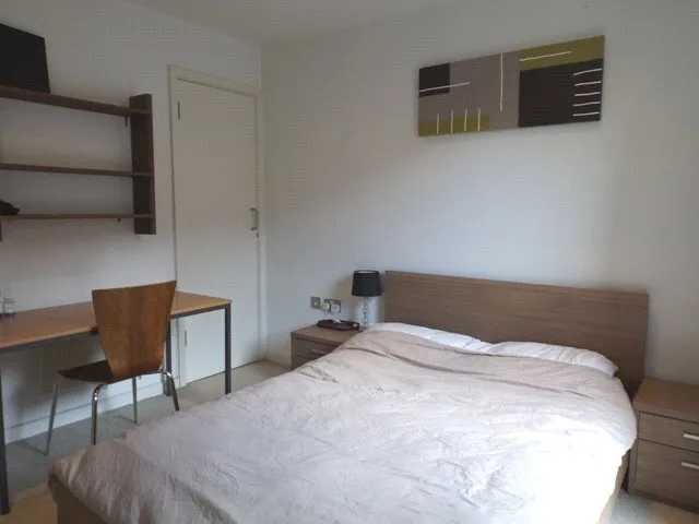 Napier Street, Sheffield, S11, photo 4