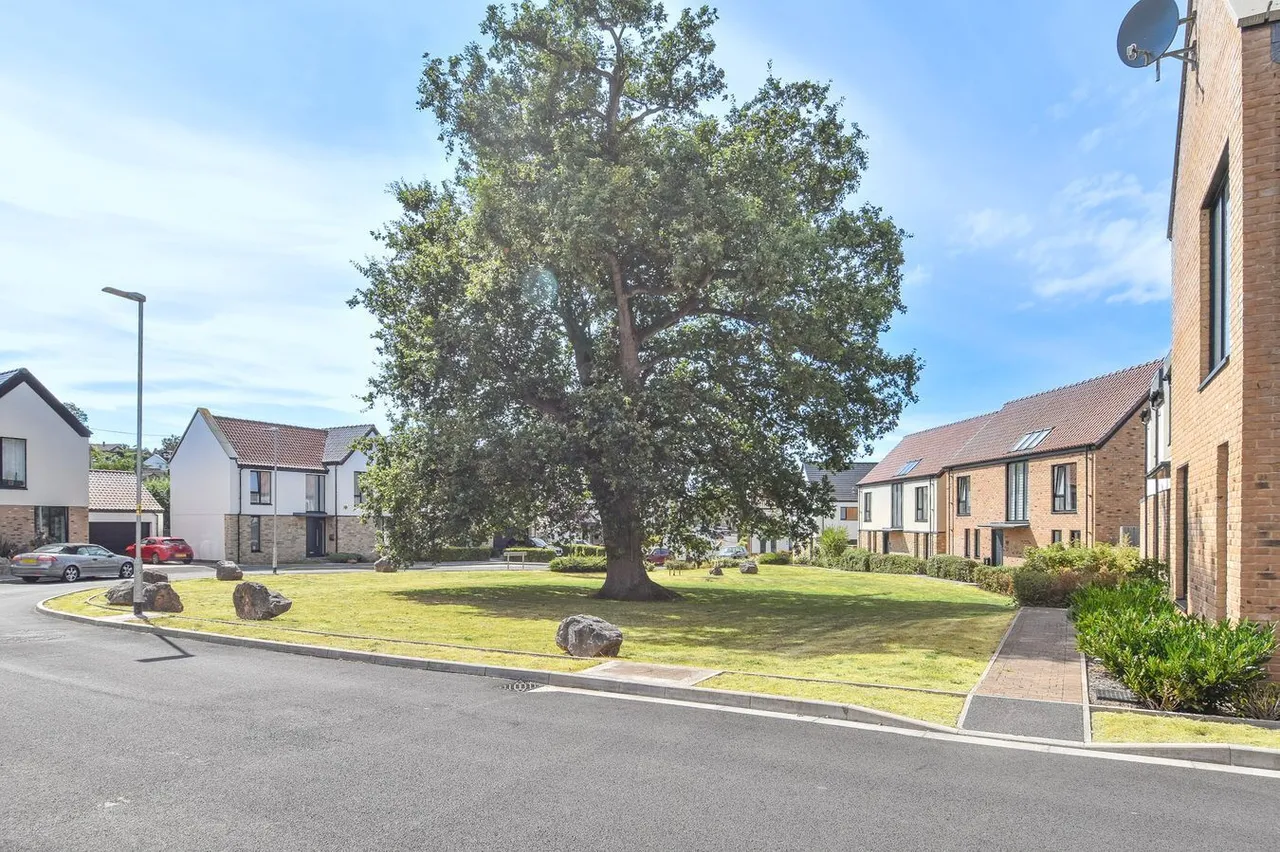 Cross Farm Green, Wedmore, BS28, photo 19