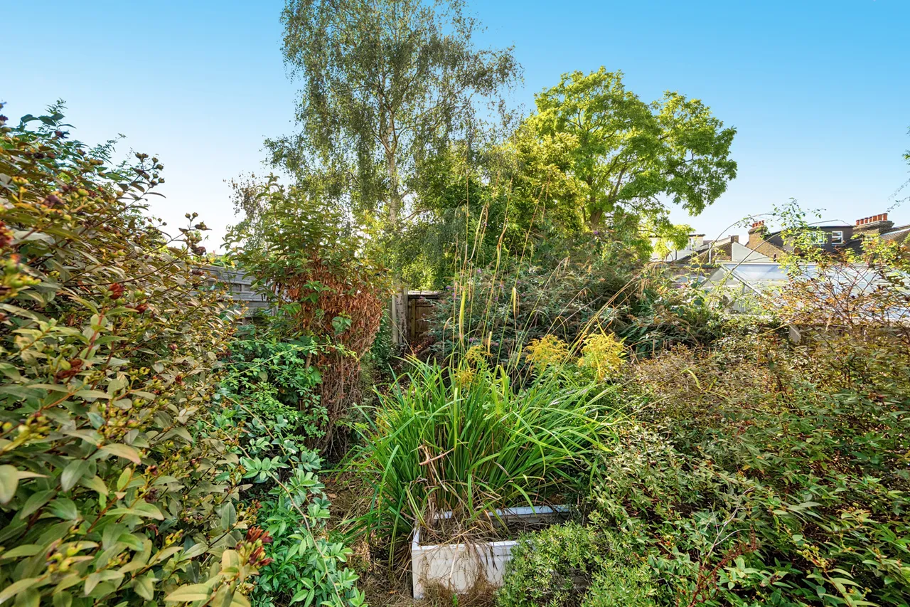 Balfour Road, BR2, photo 6