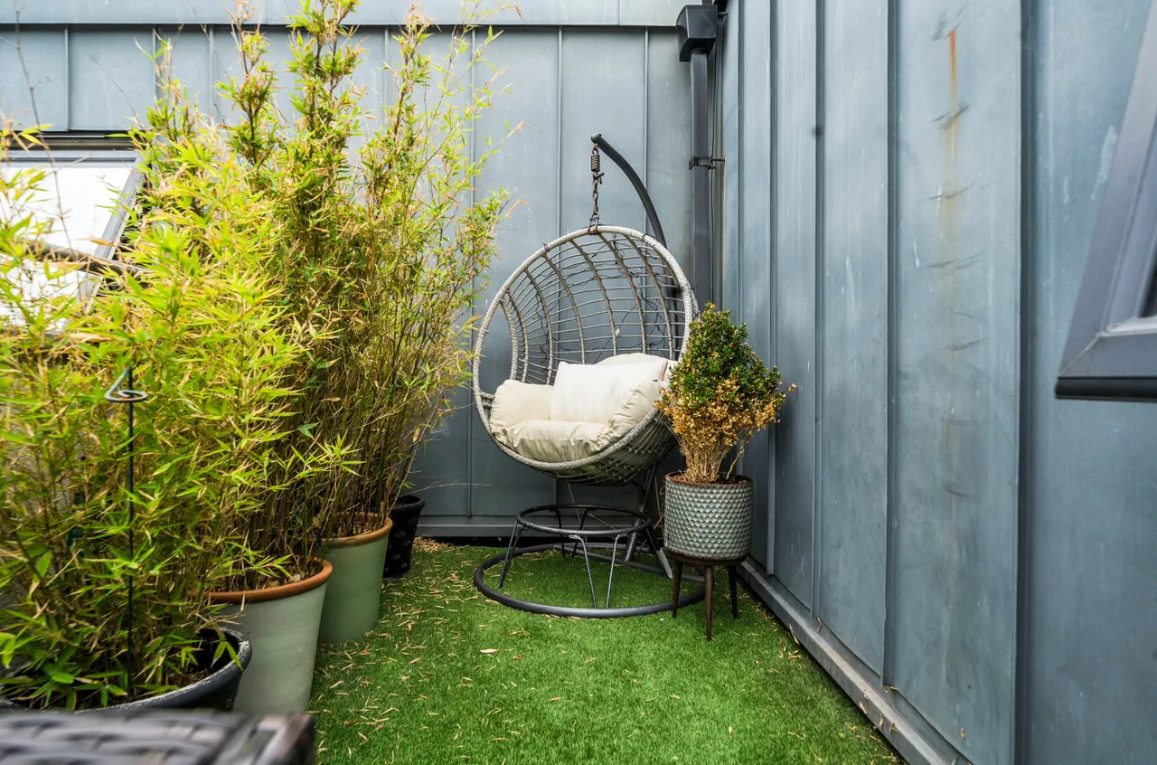 Somerhill Avenue, Hove, BN3, photo 13